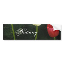 Brittany Bumper Stickers