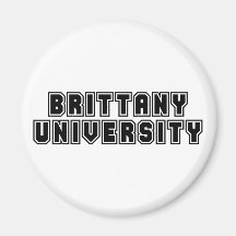 Brittany Chick Refrigerator Magnet