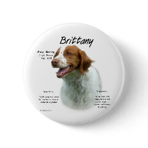Brittany History Design