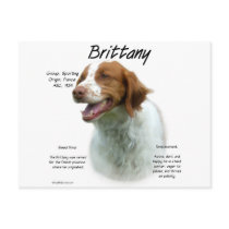 Brittany History Design