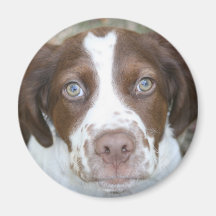 Brittany Love Fridge Magnet
