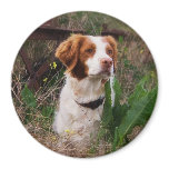Brittany Fridge Magnet