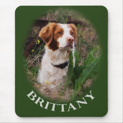 Brittany Mouse Pad by helen2000g