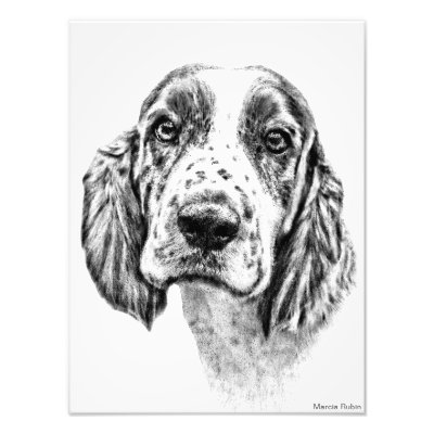 Brittany Spaniel Art