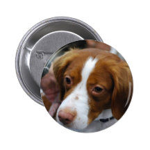 Brittany Spaniel  Button