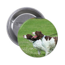 Brittany Spaniel button