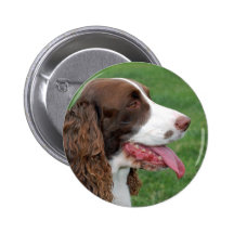 Brittany Spaniel Buttons
