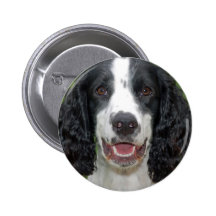 Brittany Spaniel Pins