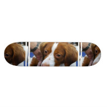 Brittany Spaniel Skateboard