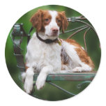 Brittany Round Stickers