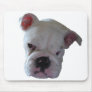 Brittish Bulldog puppy Mousepads