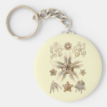 Brittle stars keychains