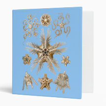 Brittle stars vinyl binder