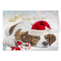Brittney Santa Takes Too Long Greeting Cards