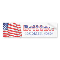 Britton Patriotic American Flag 2010 Elections Bumper Sticker