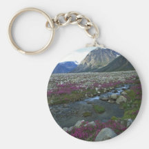 Broad-leafed willow herb and stream, Baffin Island Key Chains