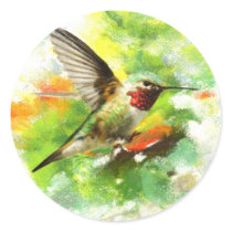 Broad tailed Hummingbird Sticker