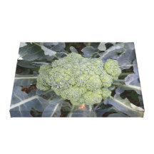 Broccoli Canvas Print