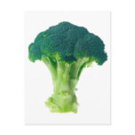 Broccoli Postcard