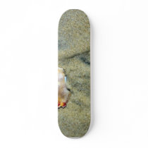 Broken Crab Shell On The Silver Strand Beach In Co Skateboard Decks
