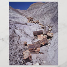 Broken logs, Petrified Forest National Park, Arizo Flyer Design