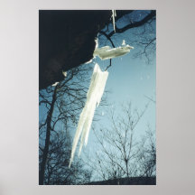 Broken Posters