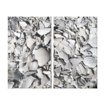 Broken Shells Wrapped Canvas Stretched Canvas Print
