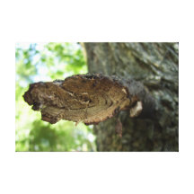 Broken Stretched Canvas Prints