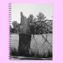 Broken tree notebooks