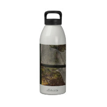 Broken window drinking bottles