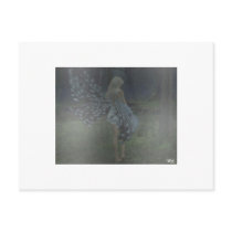 BrokenWings Postcards