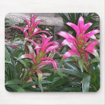 Bromeliad Mouspad Tapis De Souris