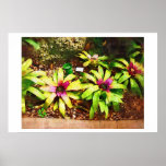 Bromeliad, Oil painting, Tropical Collection Posters