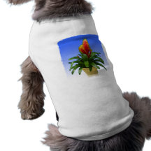 Bromeliad Vriesea Tosca Doggie Shirt
