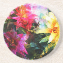 Bromeliads soustrait dessous de verre