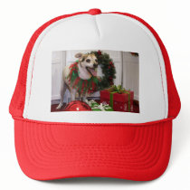 Bronco - Jack Russell - Reed
