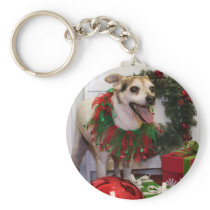 Bronco - Jack Russell - Reed
