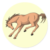 Bronco Round Stickers