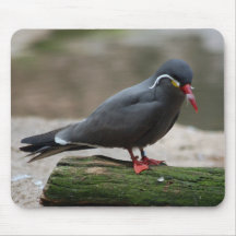 Bronx Zoo 193 copy Mousepad