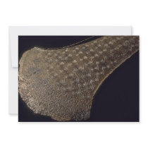 Bronze Age axe, 3500 B.C.. Custom Announcements