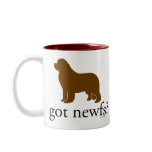Bronze Newfoundland got newfs? Mug