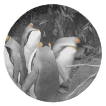 Brooding Penguins Party Plate