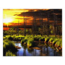 Brook Street - Sunrise in the Forest Art Photo