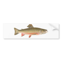 Brook Trout Art Bumper Stickers