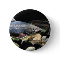Brook trout pin