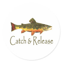Brook Trout, Catch & Release