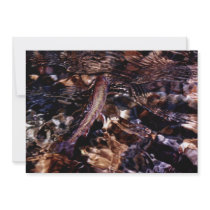 Brook Trout Fishing Birthday Party  Invitation