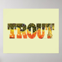 Brook Trout Fishing Poster