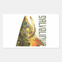 Brook Trout Fishing Sticker