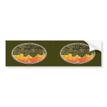 Brook Trout Fly Fishing Bumper Stickers